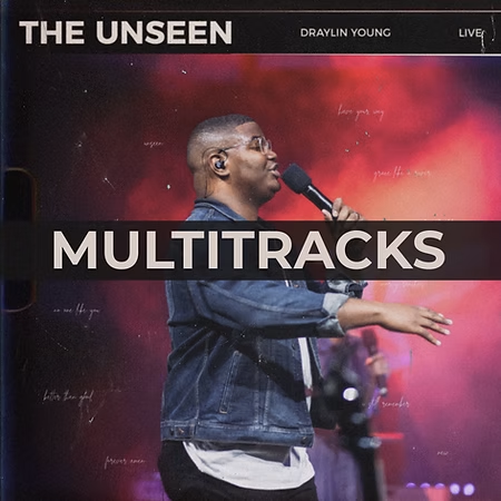 No One Like You - Multitrack Session