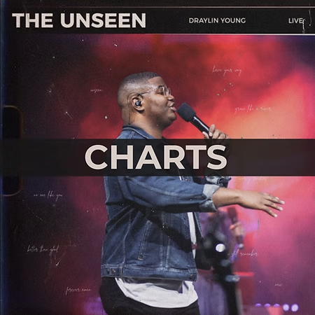 No One Like You - Charts
